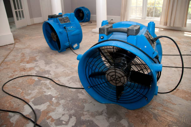 Best Fire Damage Restoration  in Briar Chapel, NC