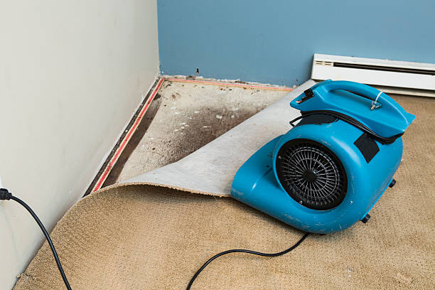 Sewage cleanup and water damage restoration in NC